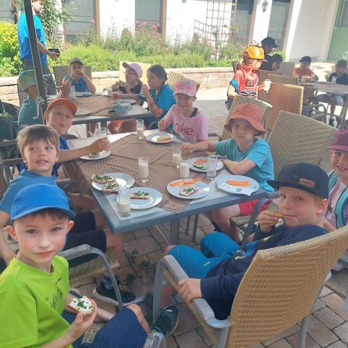 Besuch_Bauernhof_2a_2b_2024