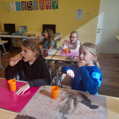 AVOMED_Zahngesundheit_3b_2024