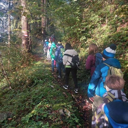 Waldausgang_3a_2024