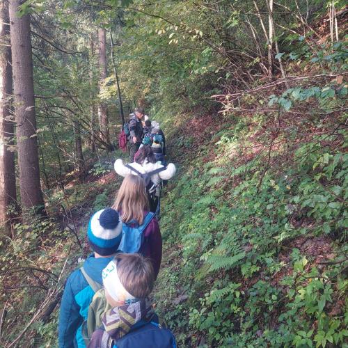 Waldausgang_3a_2024