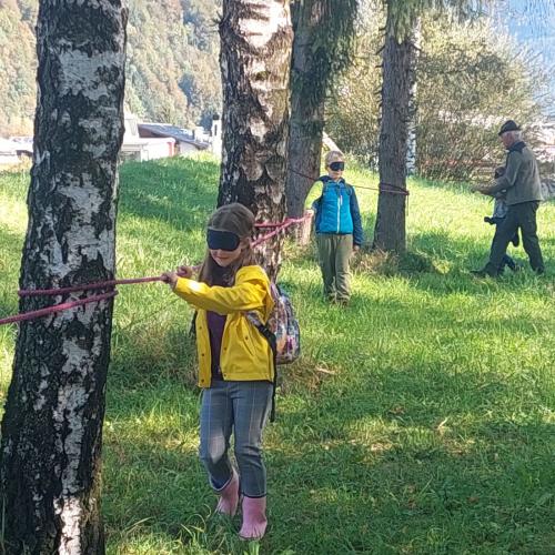 Waldausgang_3a_2024