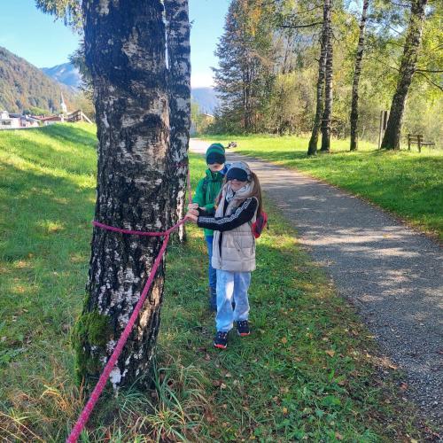 Waldausgang_3a_2024