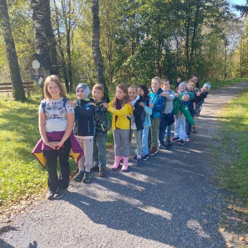 Waldausgang_3a_2024