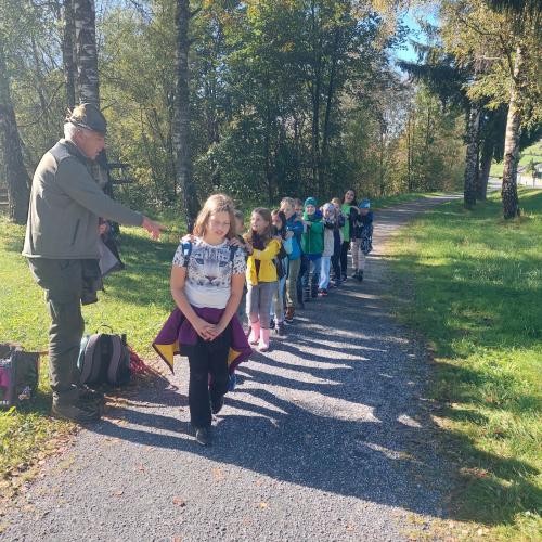 Waldausgang_3a_2024