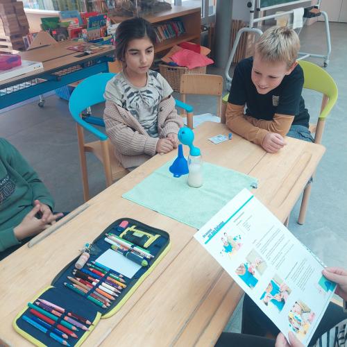 MINT_Lesen_2024