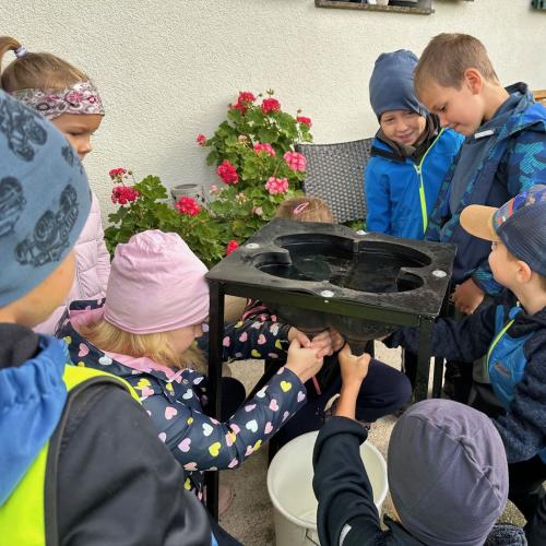 Besuch_Bauerhof_Fam_Koidl_1b_2024