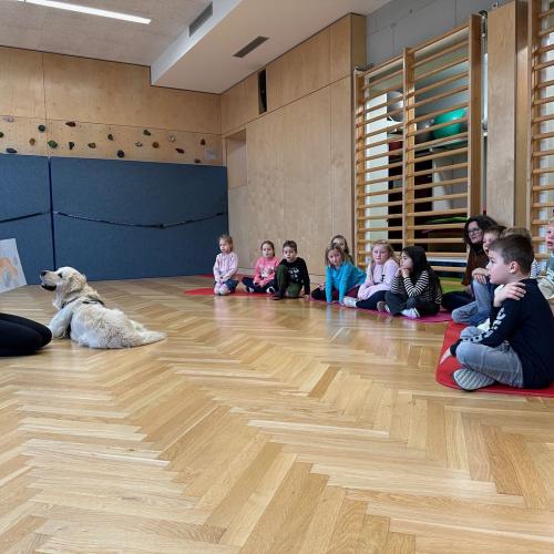 Therapiehund_Levi_1b_2024