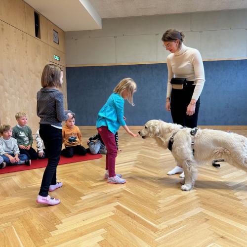 Therapiehund_Levi_1b_2024