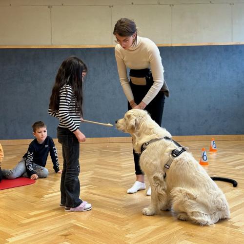Therapiehund_Levi_1b_2024