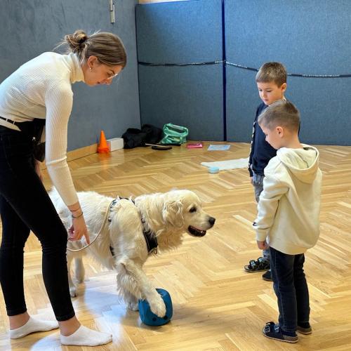 Therapiehund_Levi_1b_2024