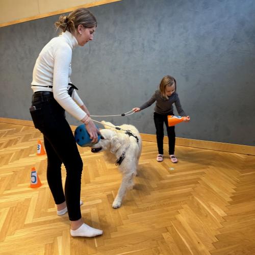 Therapiehund_Levi_1b_2024