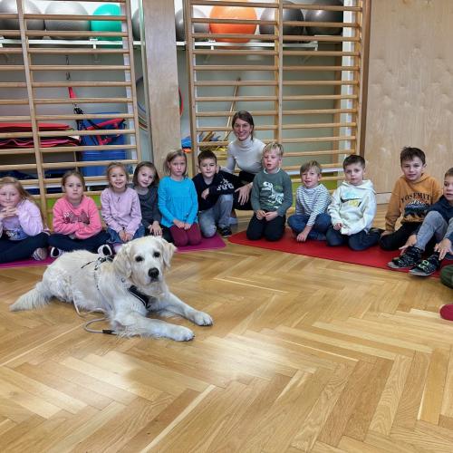 Therapiehund_Levi_1b_2024