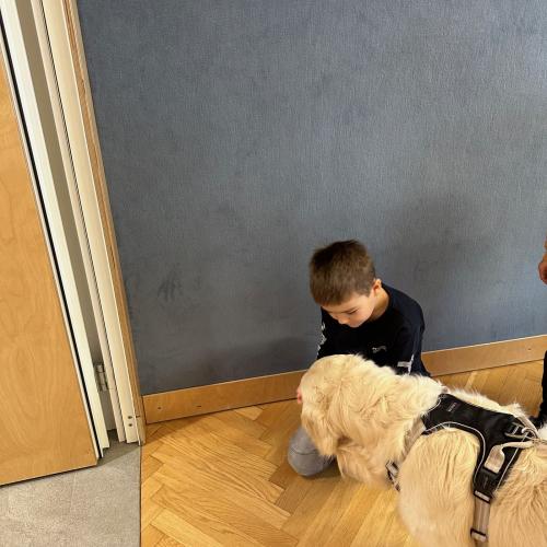 Therapiehund_Levi_1b_2024