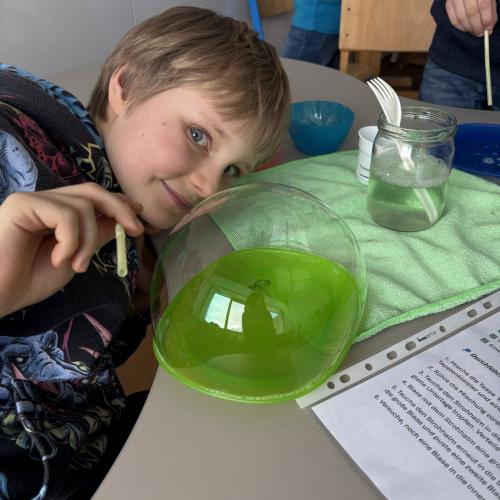 Experimente_MINT_2025