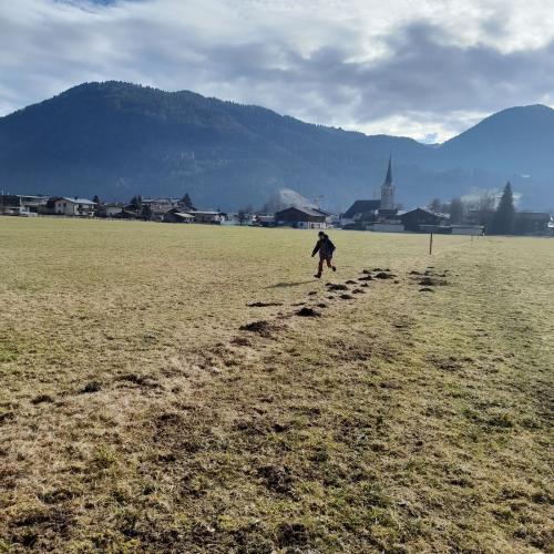 Waldpädagoge_Lehrausgang_3b_2025