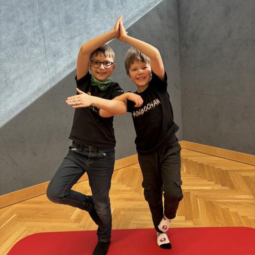Yoga_3a_4a_2025