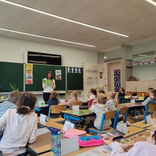 AVOMED_bunt_tut_gut_1_2025