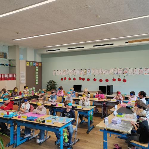 AVOMED_bunt_tut_gut_1_2025