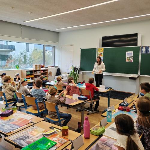 AVOMED_bunt_tut_gut_1_2025