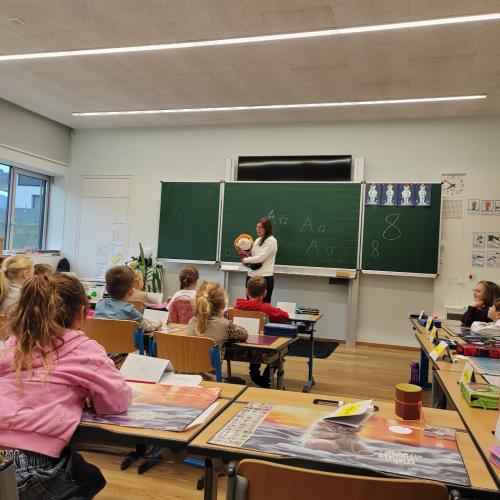 AVOMED_bunt_tut_gut_1_2025