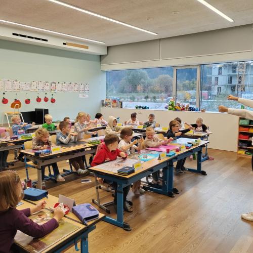 AVOMED_bunt_tut_gut_1_2025