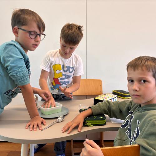 MINT_Magischer_Sand_4a_4b_2025