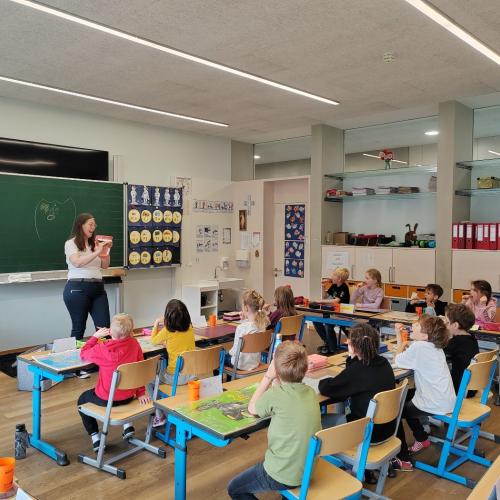 Avomed_gesunde_zähne_klasse_1_2026