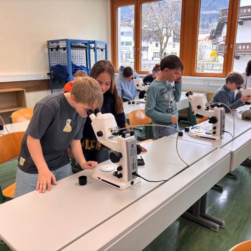 Mint_hak_kitzbühel_4a_2026