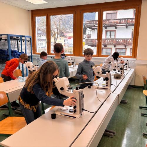 Mint_hak_kitzbühel_4a_2026