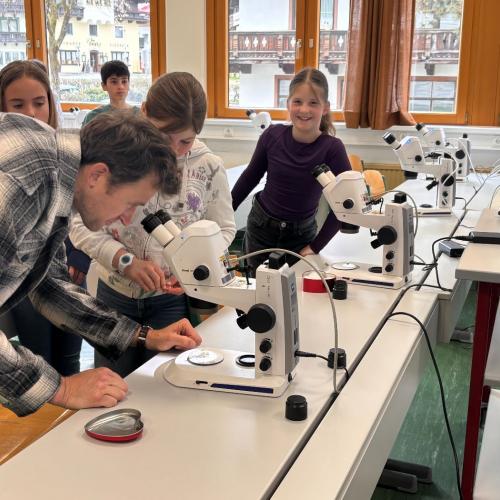 Mint_hak_kitzbühel_4a_2026