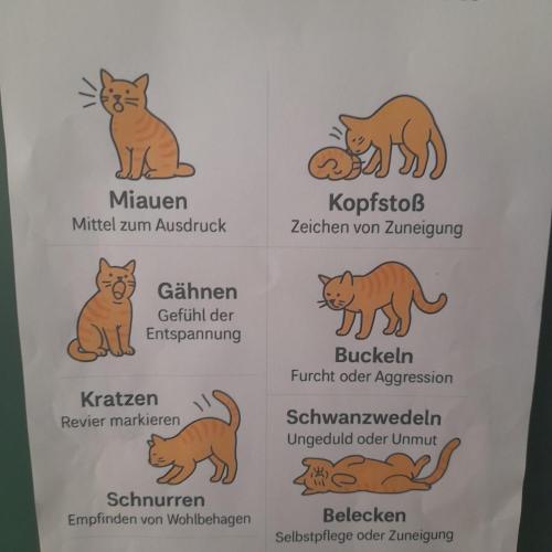 Referate_deutsch_4b_2026