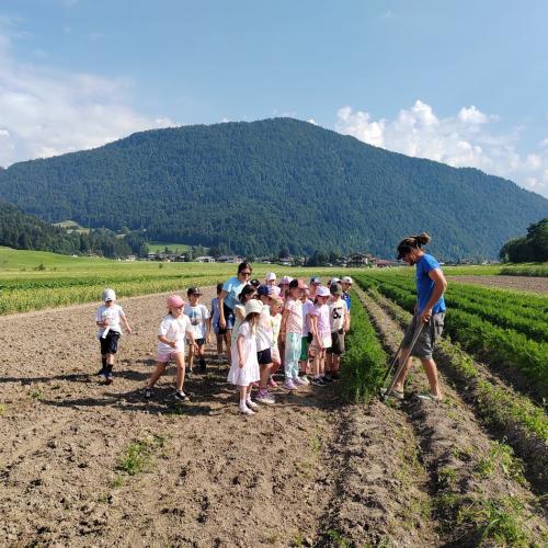 Wandertag_Klasse1_2026