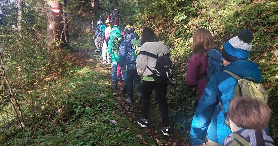Waldausgang_3a_2024