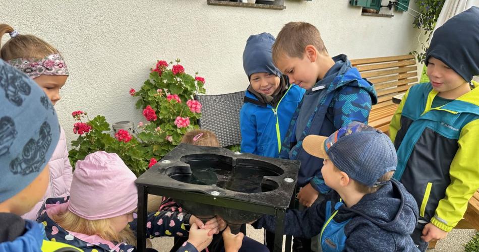 Besuch_Bauerhof_Fam_Koidl_1b_2024