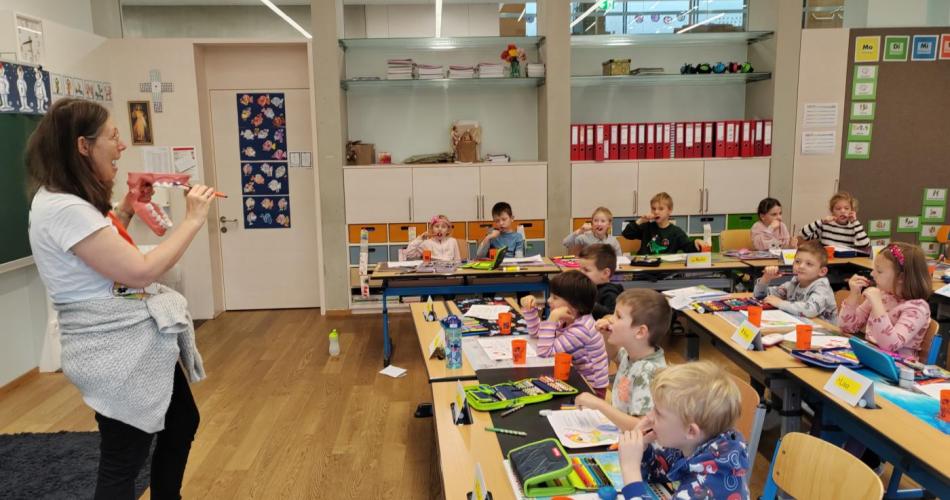 Avomed_Gesunde_Zähne_1_2025