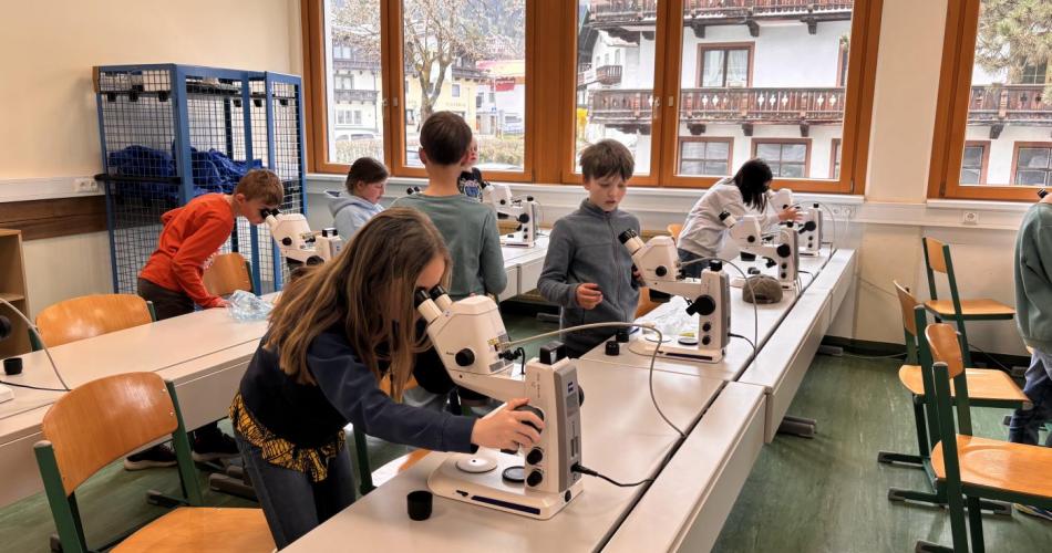 Mint_hak_kitzbühel_4a_2026